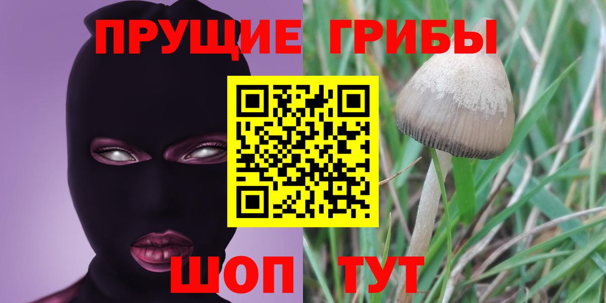 Псилоцибиновые грибы Magic Shrooms Каспийск